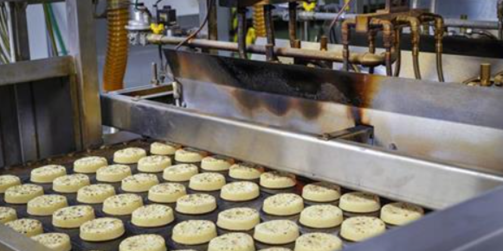 WARBURTONS MAJOR INVESTMENT