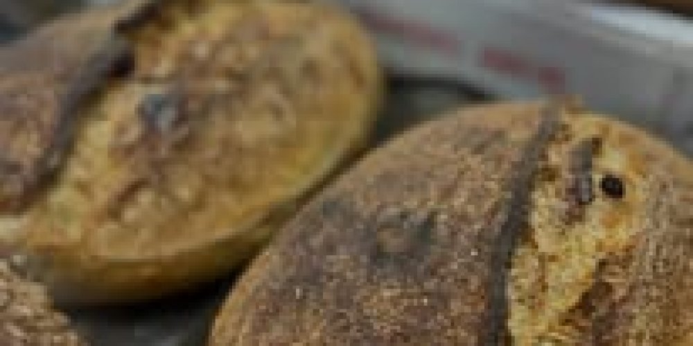 SOURDOUGH HUB OPENS NEW BAKERY